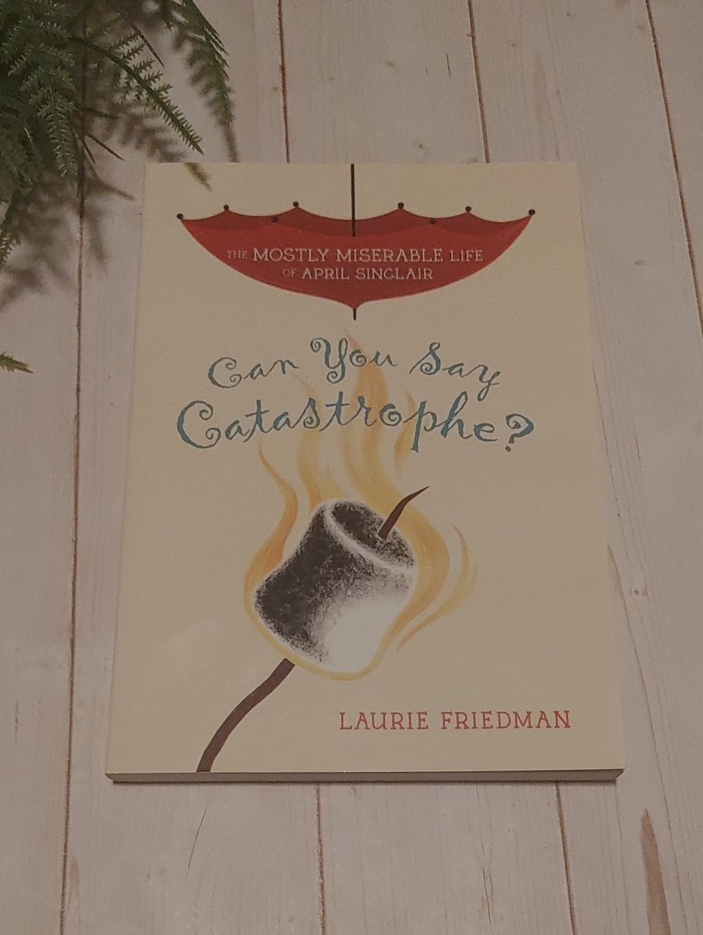 Can You Say Catastrophe Children Novel Chapter Fiction Book By Laurie Friedman